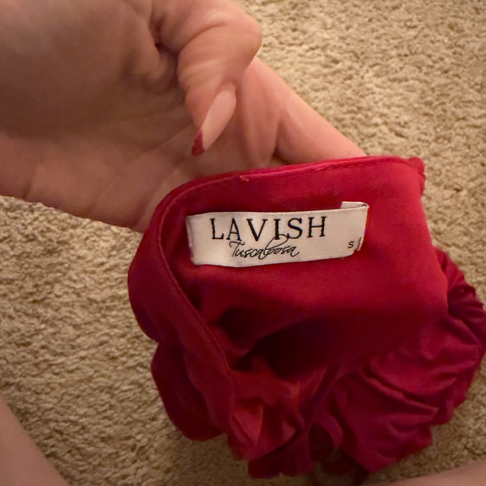 Red Snitched Mini Dress - Picture 8 of 8